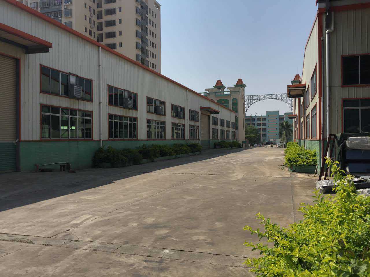 東莞橋頭單一層鋼結(jié)構(gòu)廠房2800平方廠房出租